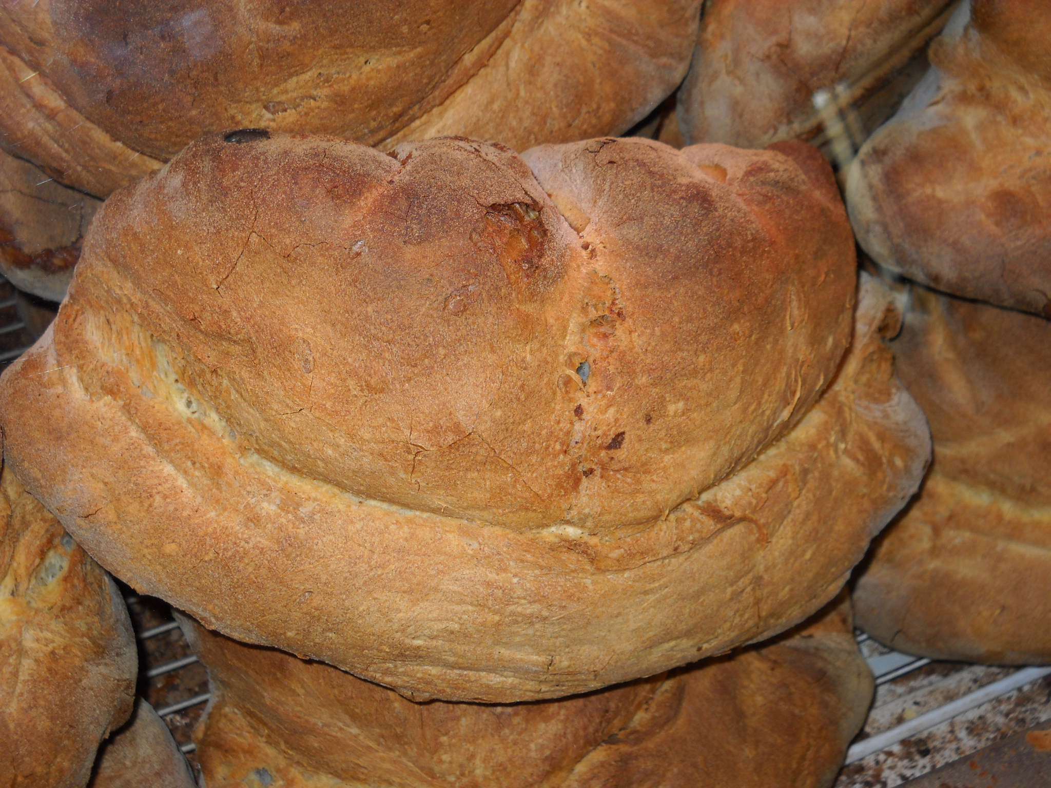 pane_di_grano_duro_34